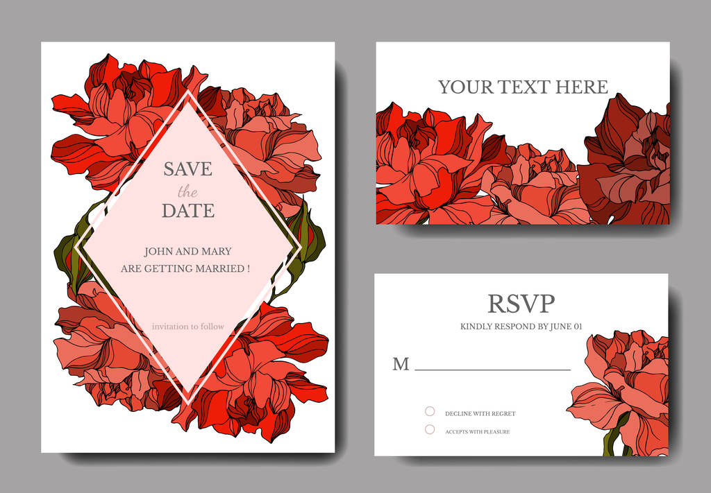 Vector Rose floral botanical flowers. Black and white engraved ink art. Wedding background card decorative border. - Vector, Image