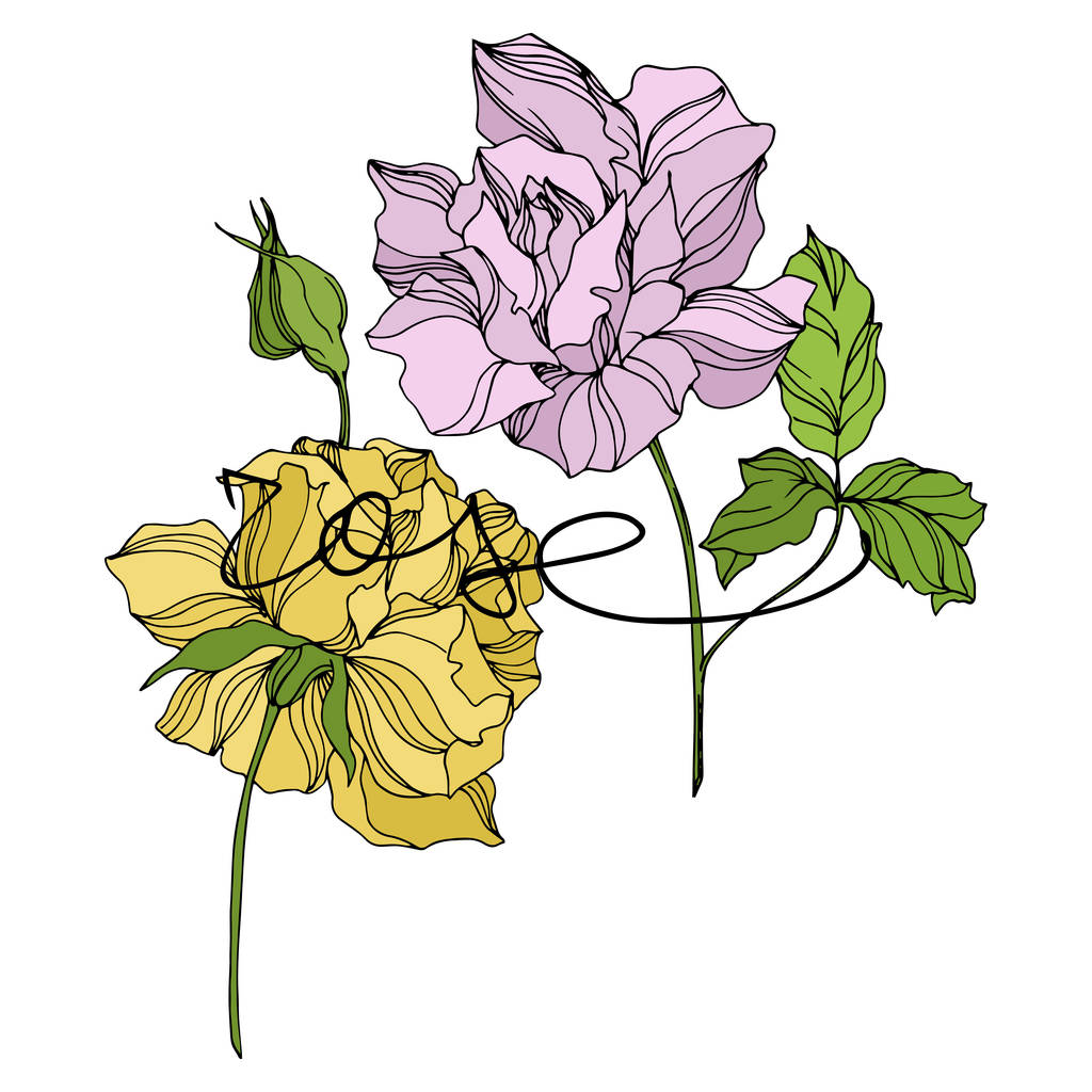 Διάνυσμα τριαντάφυλλο λουλούδια βοτανικό. Χαραγμένο μελάνι τέχνης. Μεμονωμένα στοιχεία εικονογράφησης τριαντάφυλλων. - Διάνυσμα, εικόνα