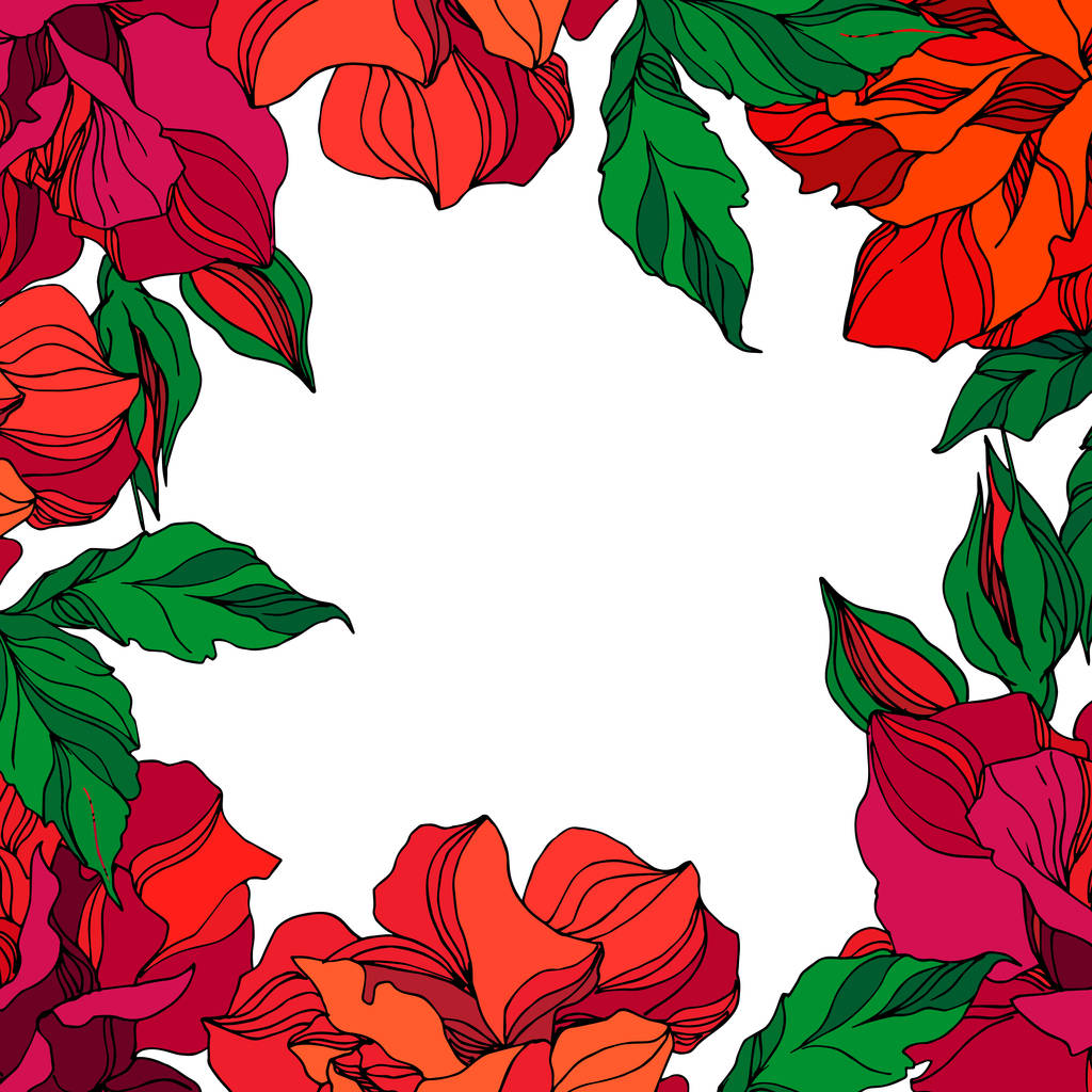 Vector Fleurs botaniques florales roses. Encre gravée verte ahd rouge art. Cadre bordure ornement carré
. - Vecteur, image