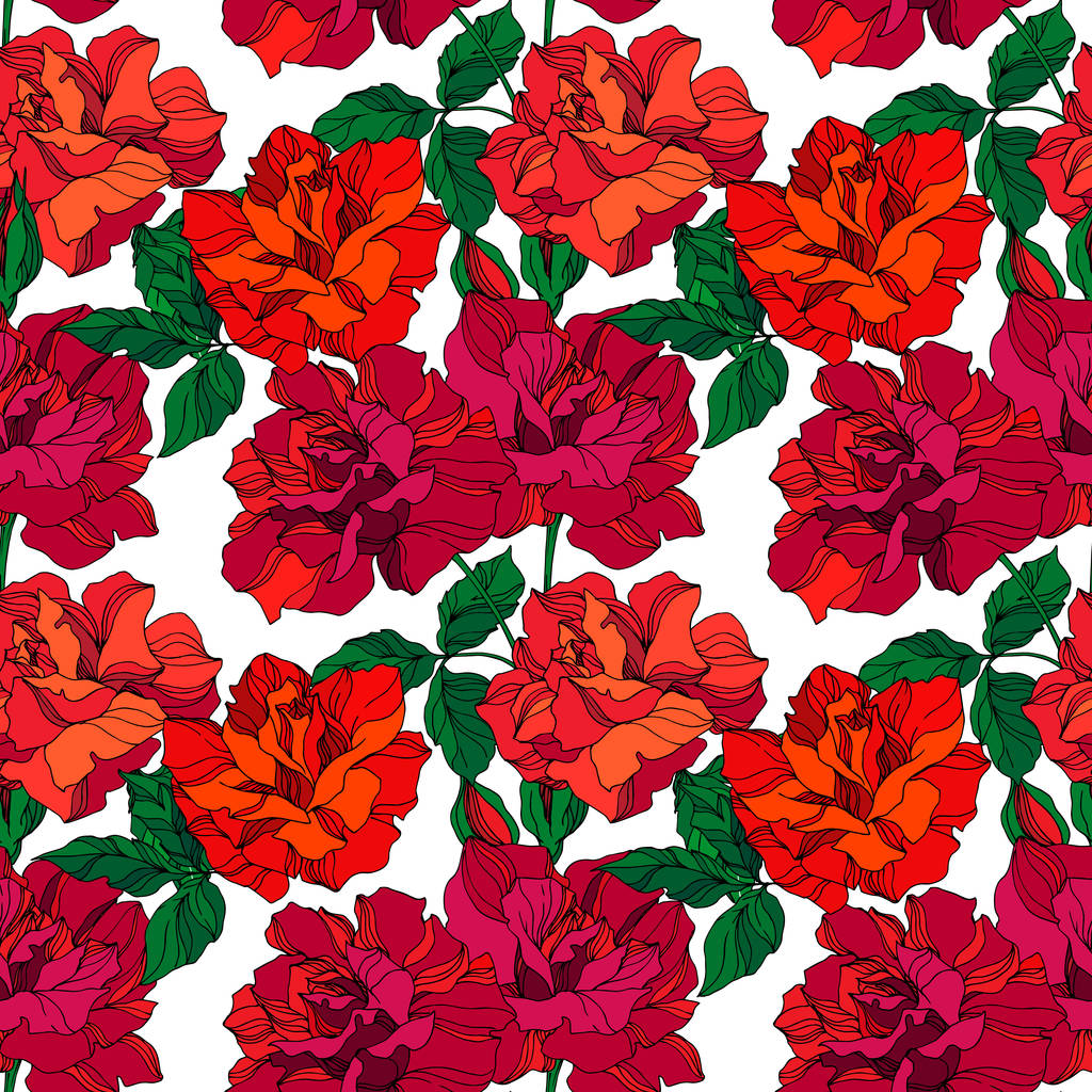 Wektor Rose kwiatowe kwiaty botaniczne. Zielona i czerwona grawerowana sztuka tuszu. Płynny wzór tła. - Wektor, obraz