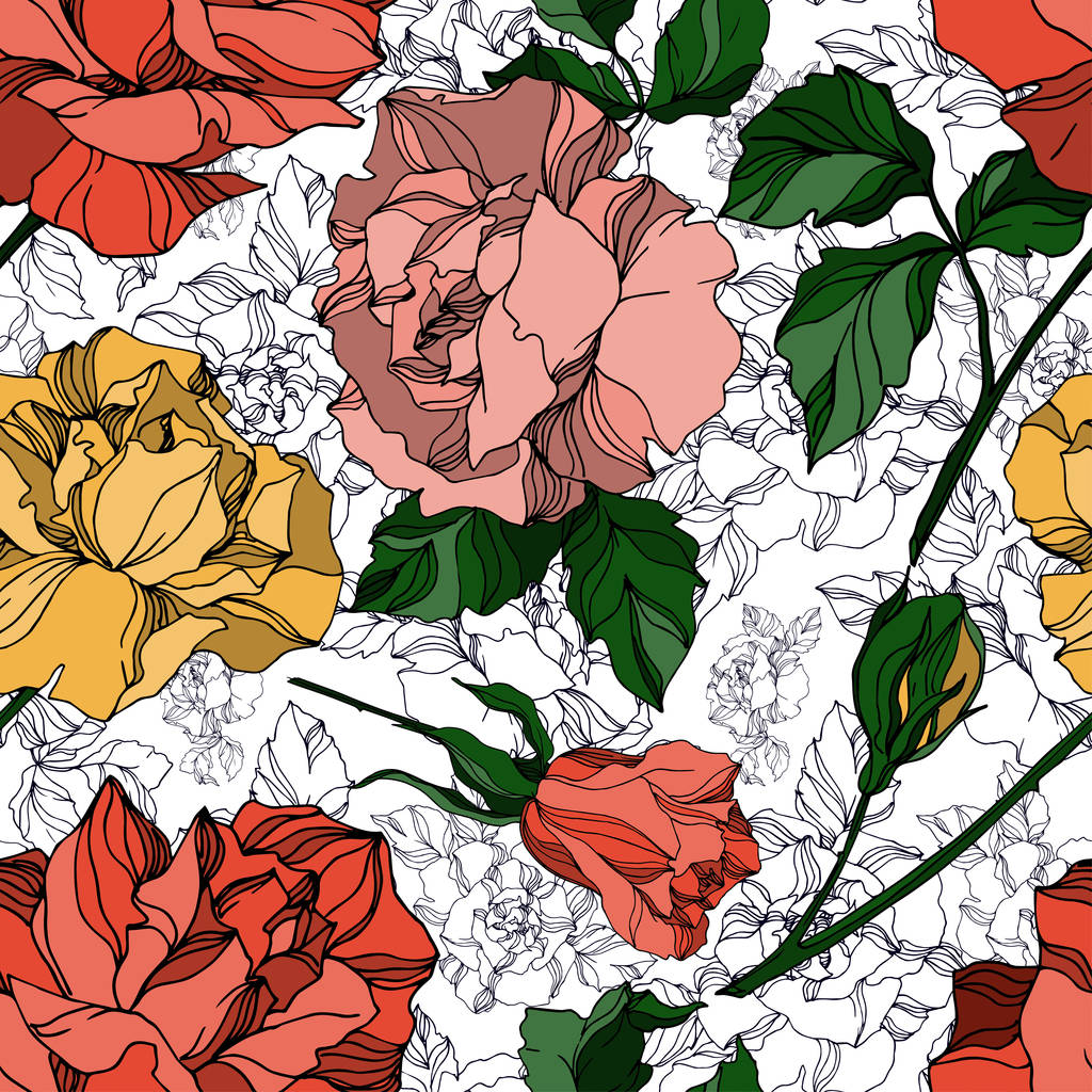 Vector Roses flores botánicas florales. Tinta grabada en blanco y negro. Patrón de fondo sin costuras
. - Vector, imagen
