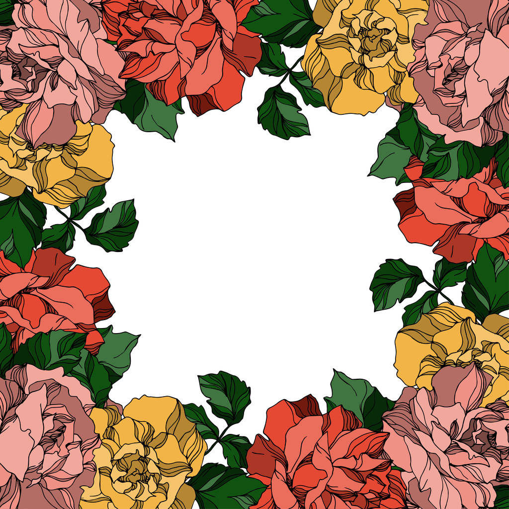 Vector rozen bloemen botanische bloemen. Zwart-wit gegraveerde inktkunst. Frame rand ornament vierkant. - Vector, afbeelding