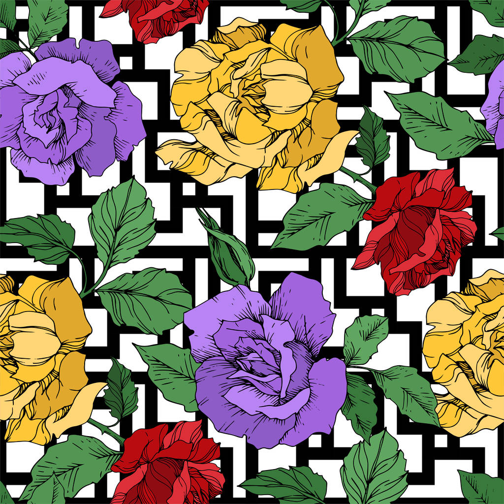 Vector Rose flores botánicas florales. Tinta grabada en blanco y negro. Patrón de fondo sin costuras
. - Vector, imagen
