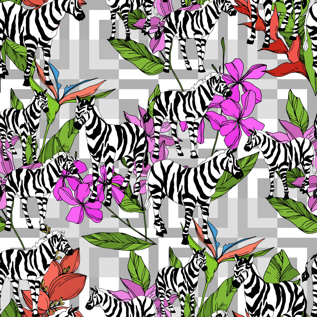 Vetor zebra exótica imprimir animal selvagem isolado. Tinta gravada a preto e branco. Padrão de fundo sem costura
. - Vetor, Imagem