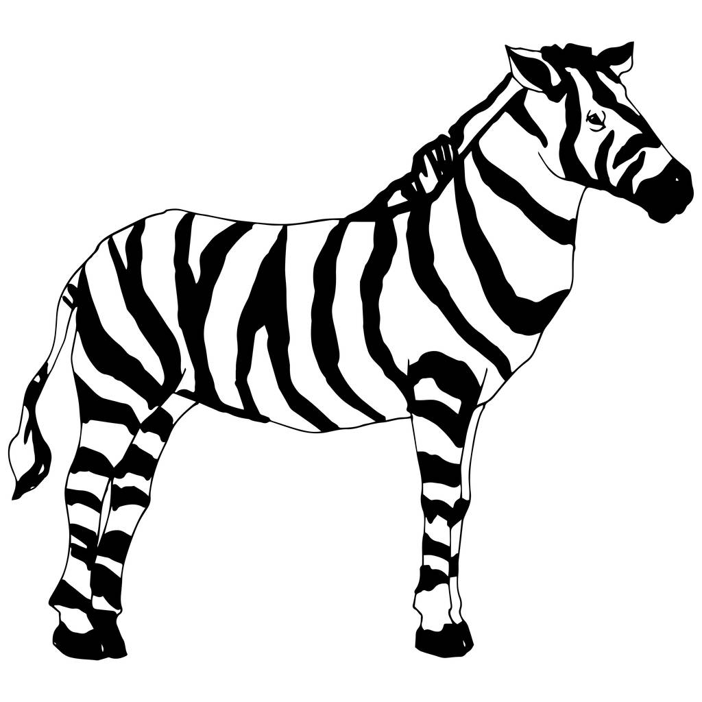 Vektor Exotická zebry divoké zvíře izolované. Černobílý rytý inkoust. Izolovaný prvek ilustrace zvířat. - Vektor, obrázek