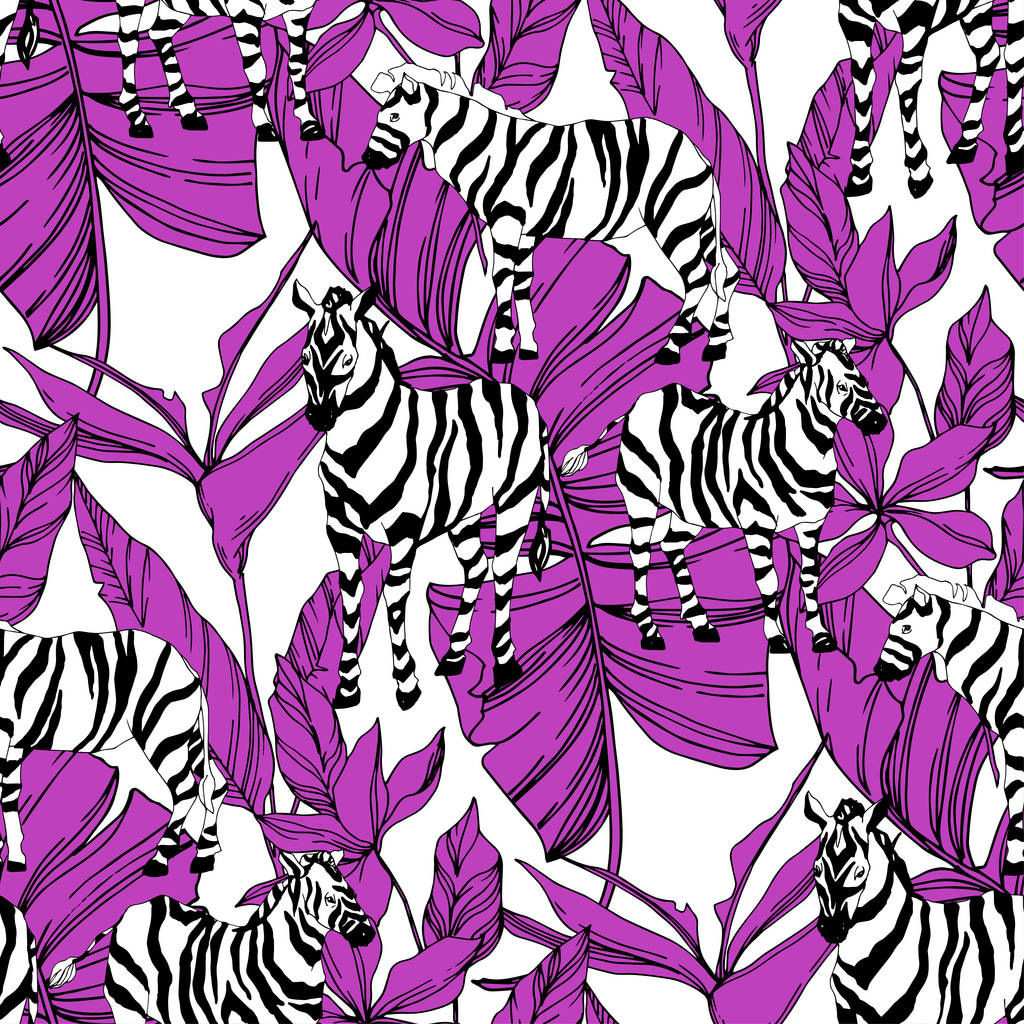 Vektor exotische Zebra drucken wilde Tiere isoliert. Schwarz-weiß gestochene Tuschekunst. nahtloses Hintergrundmuster. - Vektor, Bild