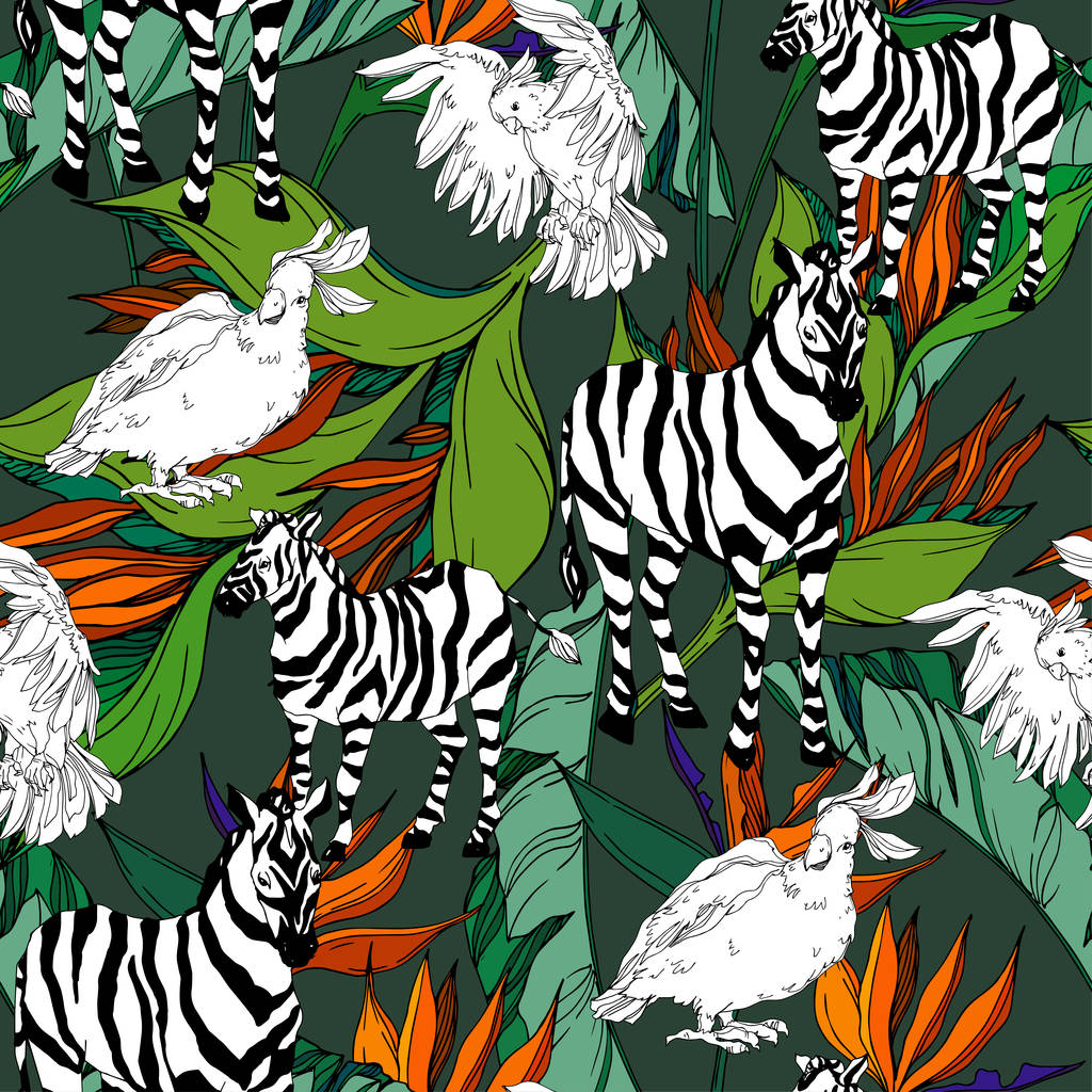 Vetor zebra exótica imprimir animal selvagem isolado. Tinta gravada a preto e branco. Padrão de fundo sem costura
. - Vetor, Imagem