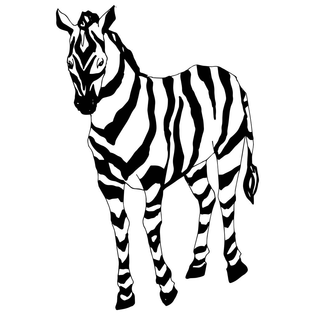 Vektör egzotik zebra yaban hayvanı izole edildi. Siyah beyaz işlemeli mürekkep sanatı. İzole edilmiş hayvan örnekleme elementi. - Vektör, Görsel