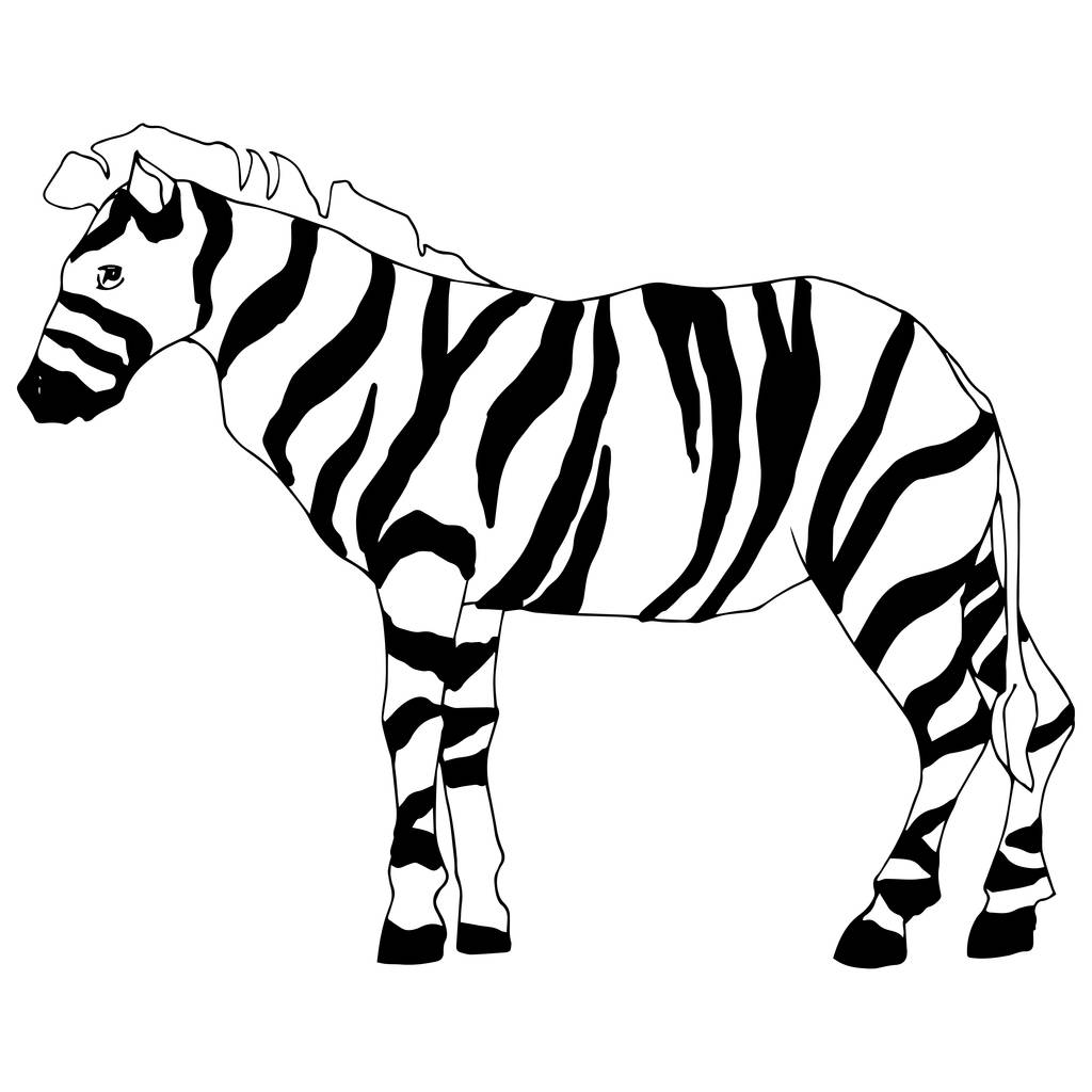 Vector Cebra exótica animal salvaje aislado. Tinta grabada en blanco y negro. Elemento de ilustración animal aislado
. - Vector, Imagen