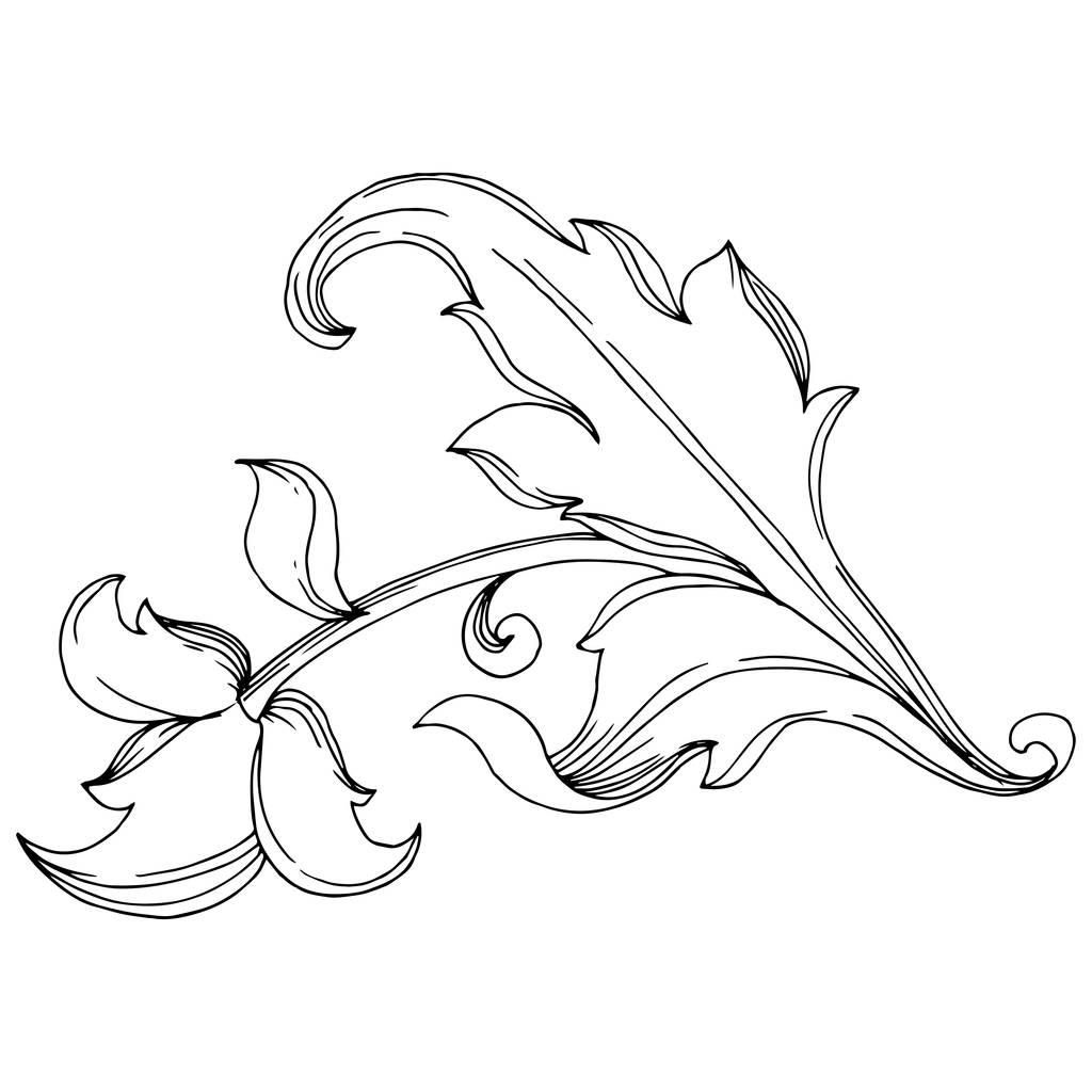 Barokowy ornament wektorowy z monogramem kwiatowym. Czarno-biała grawerowana sztuka tuszu. Izolowane elementy dekoracyjne ilustracji. - Wektor, obraz