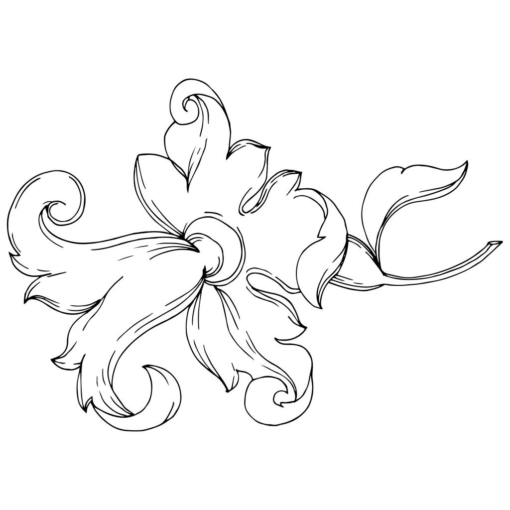 Διάνυσμα μπαρόκ μονόγραμμα floral στολίδι. Μαύρο και άσπρο χαραγμένο μελάνι τέχνης. Μεμονωμένα στολίδια εικονογράφηση στοιχείο. - Διάνυσμα, εικόνα