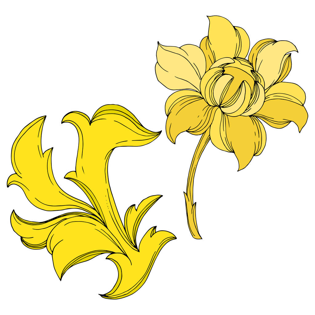 Vector Golden monogram bloemen ornament. Zwart-wit gegraveerde inktkunst. Geïsoleerde monogrammen illustratie-element. - Vector, afbeelding