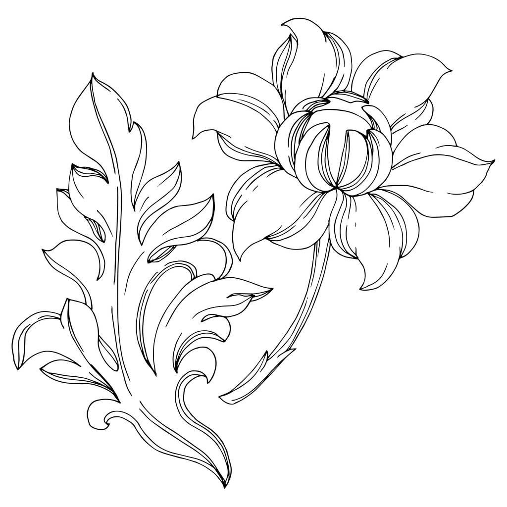 Διάνυσμα Χρυσό μονόγραμμα λουλούδι στολίδι. Μαύρο και άσπρο χαραγμένο μελάνι τέχνης. Μεμονωμένο στοιχείο εικονογράφησης μονογραμμάτων. - Διάνυσμα, εικόνα