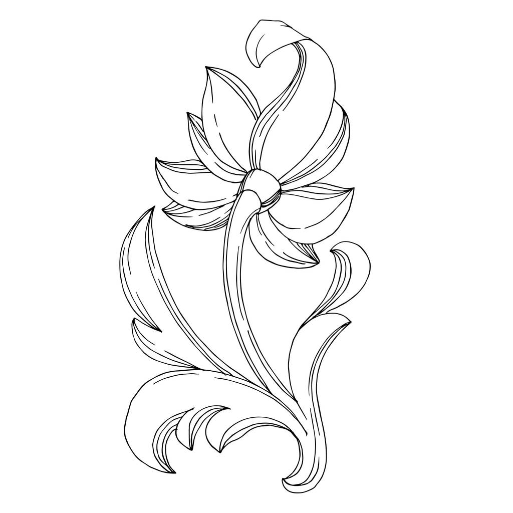 Vector Golden monogram bloemen ornament. Geïsoleerd ornament illustratie-element. Zwart-wit gegraveerde inktkunst. - Vector, afbeelding