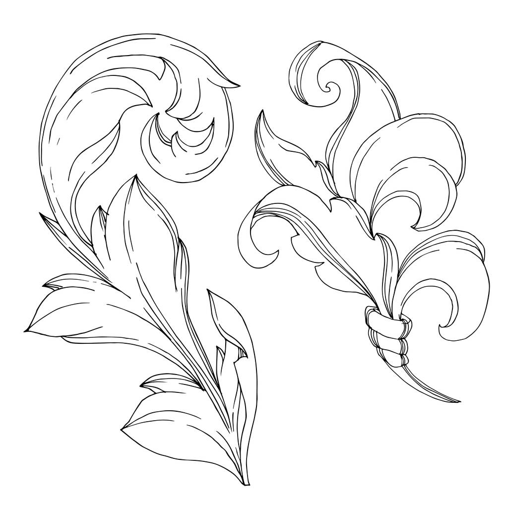 Décoration florale vectorielle monogramme baroque. Encre gravée en noir et blanc. Elément d'illustration d'ornement isolé
. - Vecteur, image