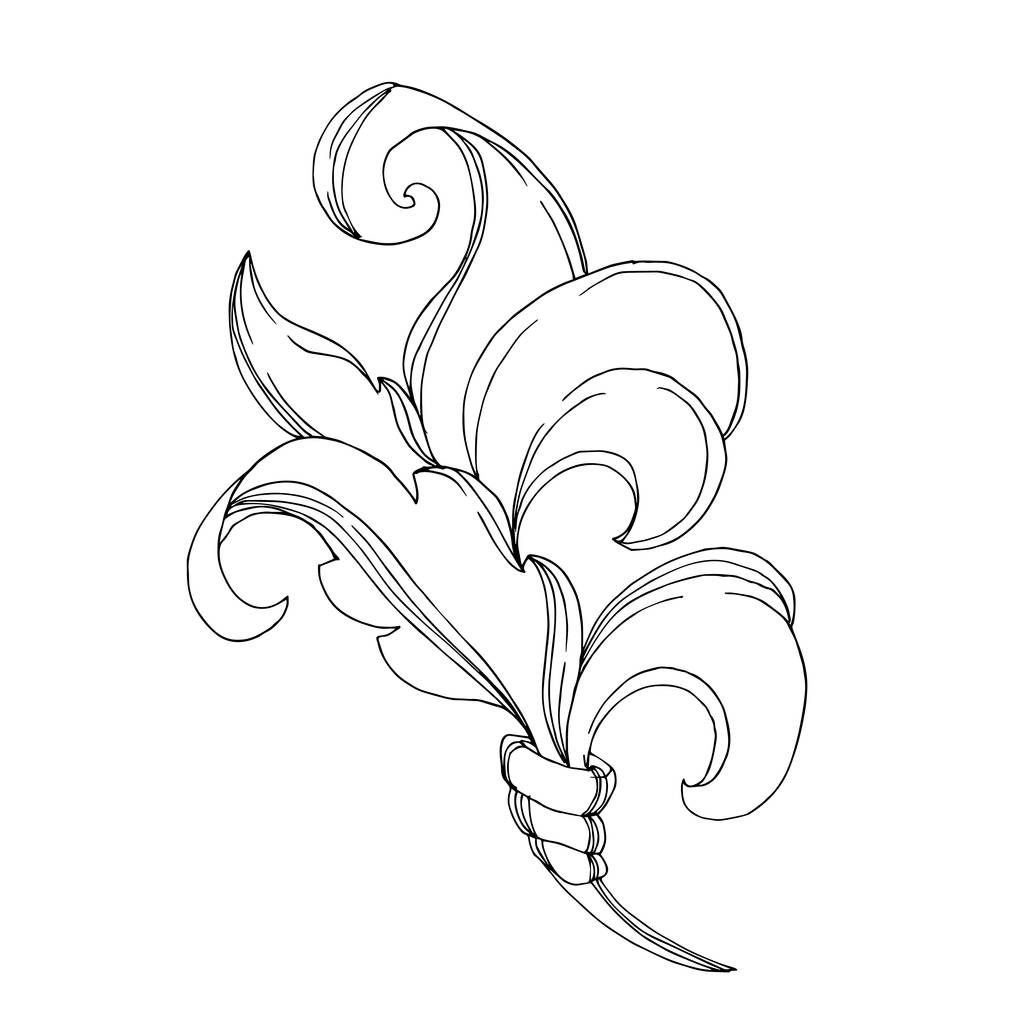 Vektorový barokní monogram květinový ornament. Černobílý rytý inkoust. Izolovaný ozdobný ilustrační prvek. - Vektor, obrázek