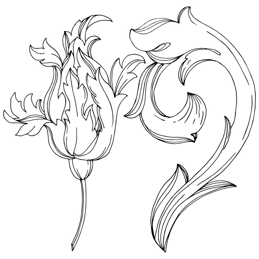 ベクトルバロックモノグラムの花の装飾。黒と白の刻まインクアート。独立したモノグラムイラスト要素. - ベクター画像