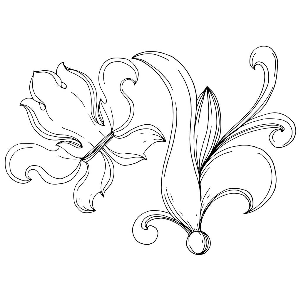 Monogramma barocco vettoriale ornamento floreale. Inchiostro inciso in bianco e nero art. Elemento di illustrazione monogramma isolato
. - Vettoriali, immagini