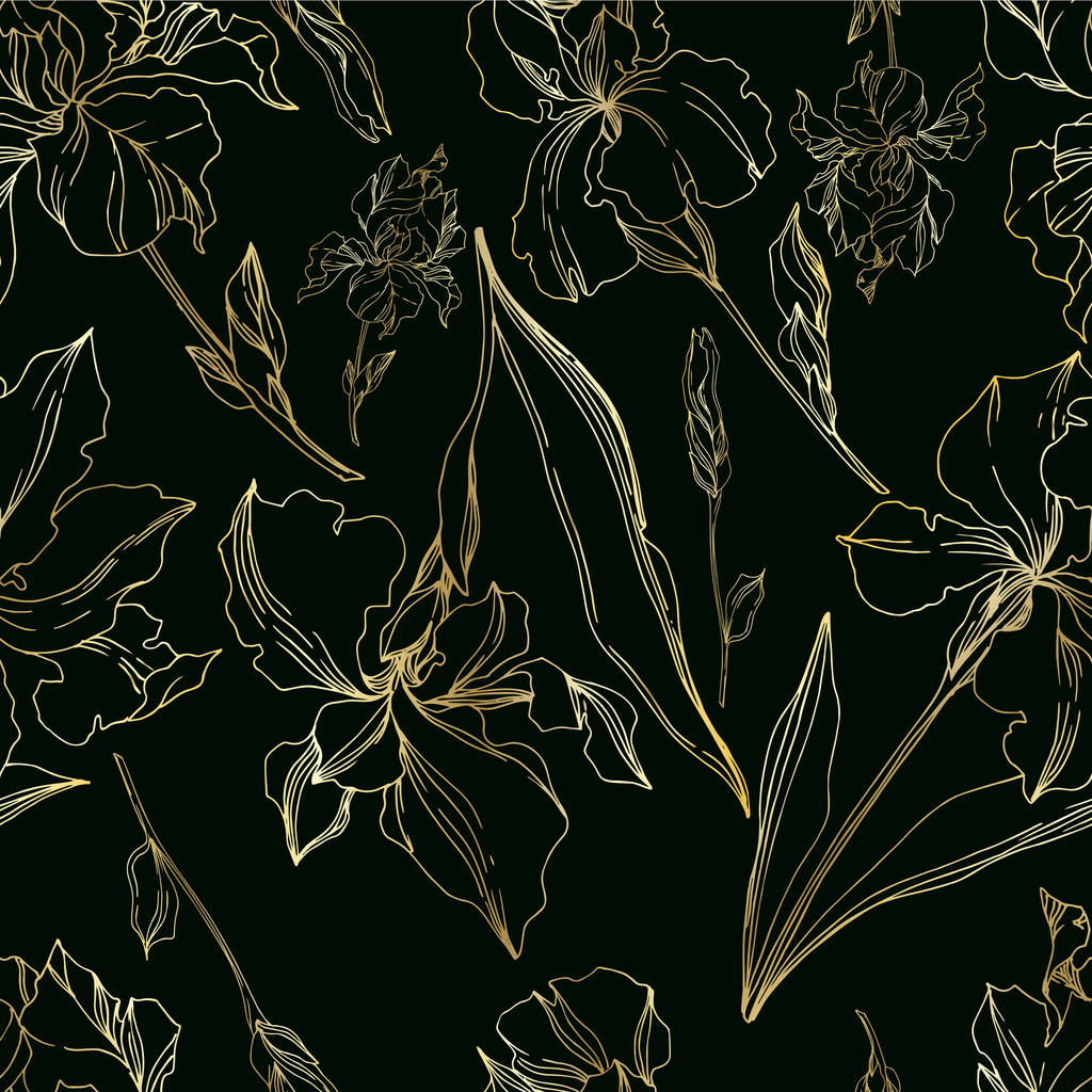 Векторные ирис цветочные ботанические цветы. Черно-белая гравировка i
 - Вектор,изображение
