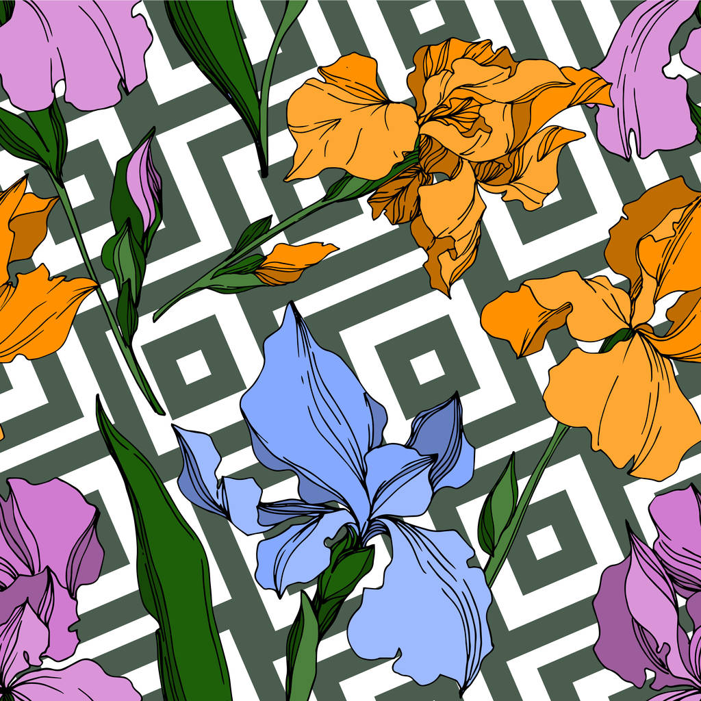 Wektor Iris kwiatowe kwiaty botaniczne. Czarno-biały grawerowane i - Wektor, obraz