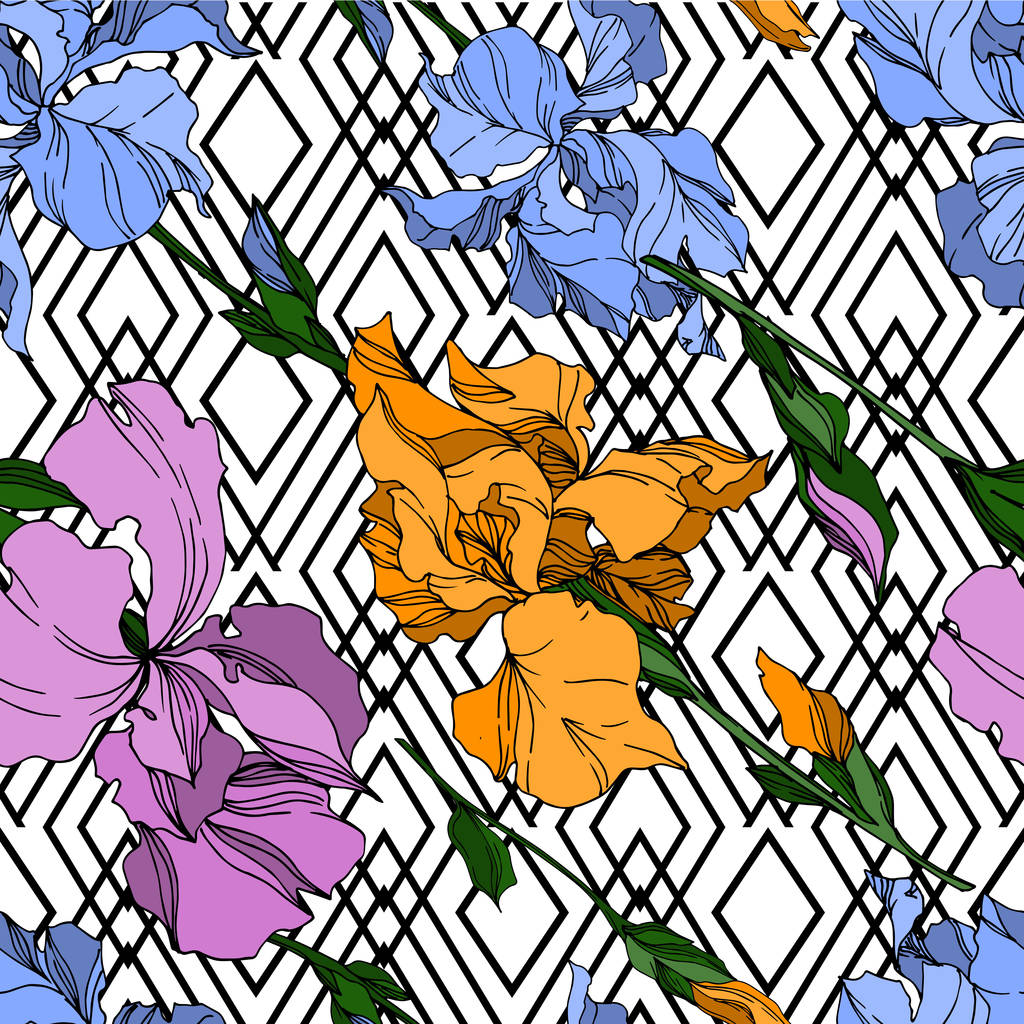 ベクトルアイリス花植物の花。黒と白のエングレービング - ベクター画像