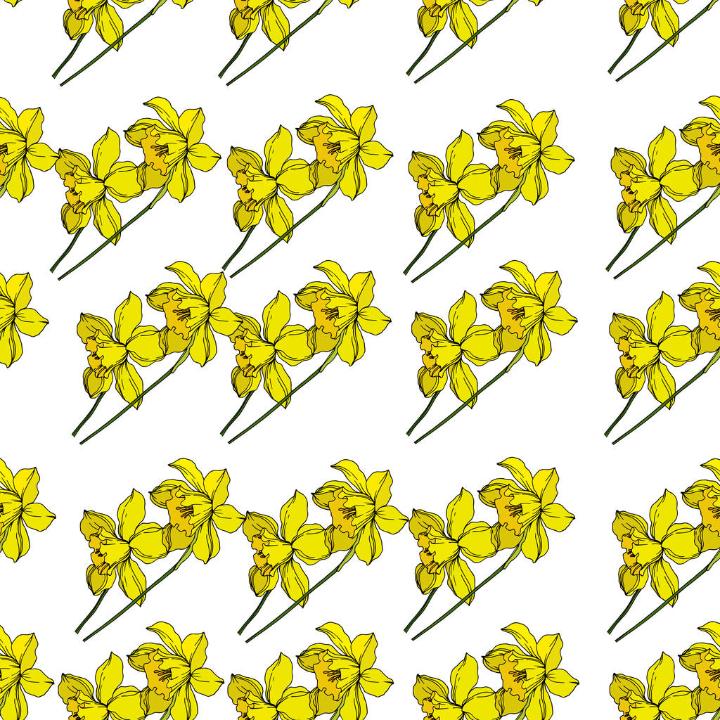 Vektor Narcissus virágos botanikai virágok. Fekete-fehér engra - Vektor, kép