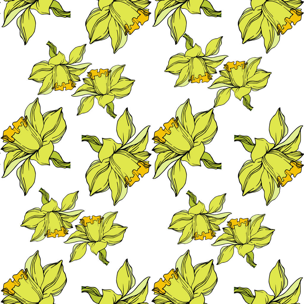 Vektor Narcis květinové botanické květiny. Černobílý engra - Vektor, obrázek