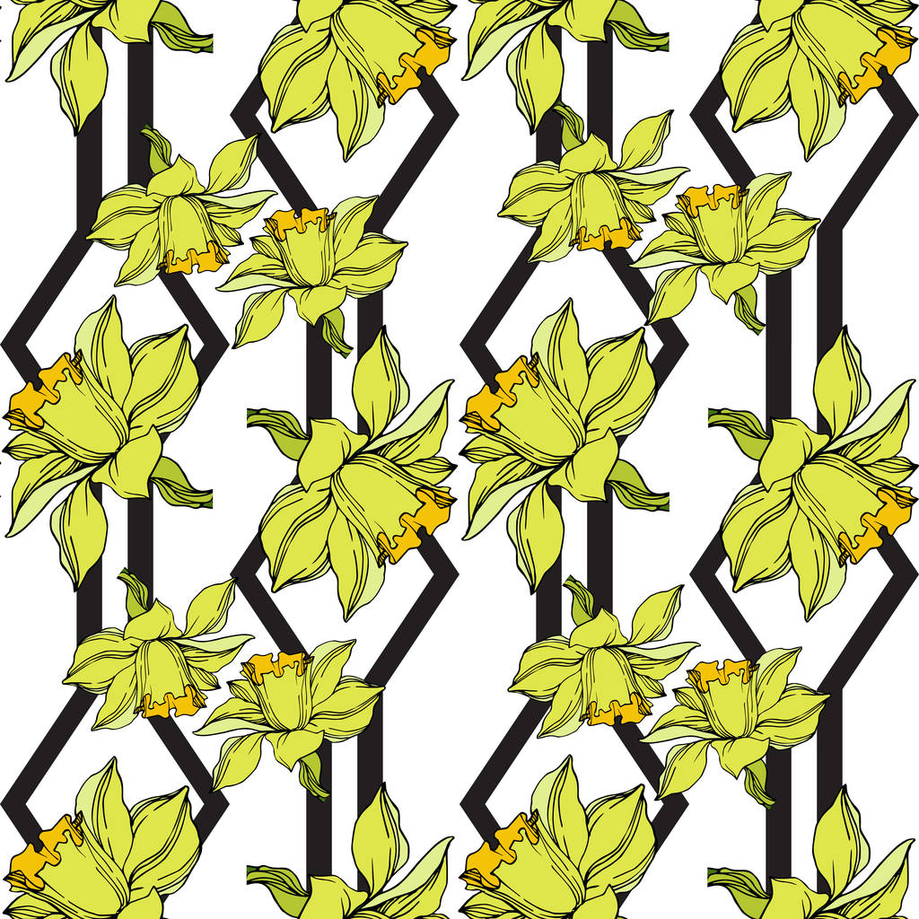 Vector Narcissus flores botánicas florales. Engra blanco y negro
 - Vector, Imagen