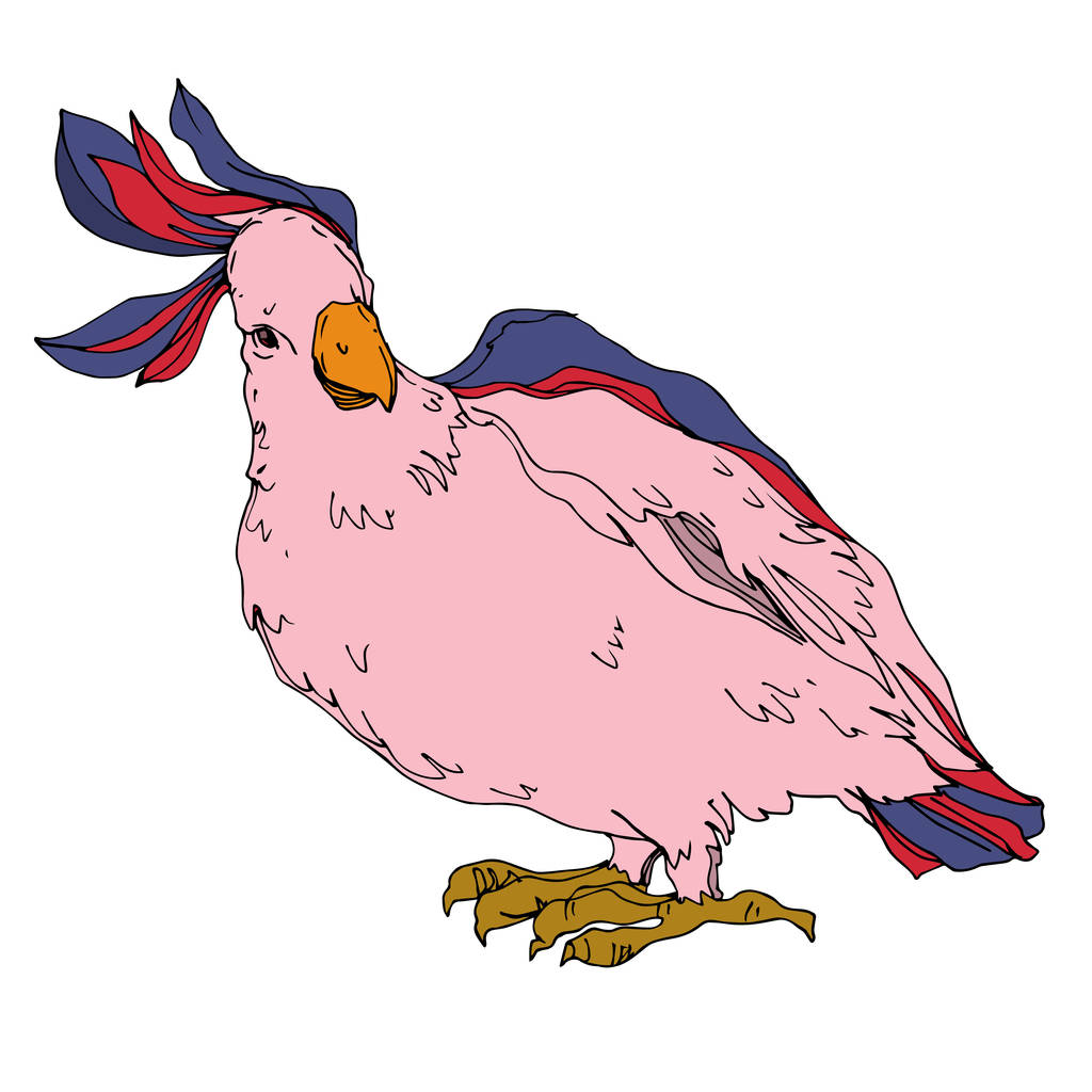 Vector Sky ptak kakadu w dzikiej przyrody odizolowany. Czerń i biel - Wektor, obraz