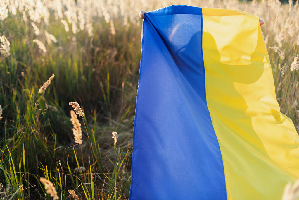 Rückseite des kleinen Mädchens mit flatternder blauer und gelber Fahne der Ukraine, die bei sonnigem Sommertag auf dem Feld spaziert, Konzept zum ukrainischen Unabhängigkeitstag - Foto, Bild