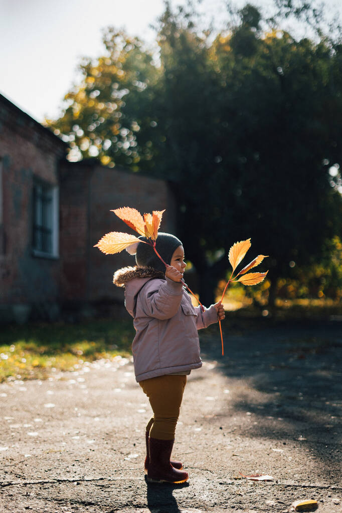 Маленькая девочка в осеннем парке с желтыми листьями
 - Фото, изображение