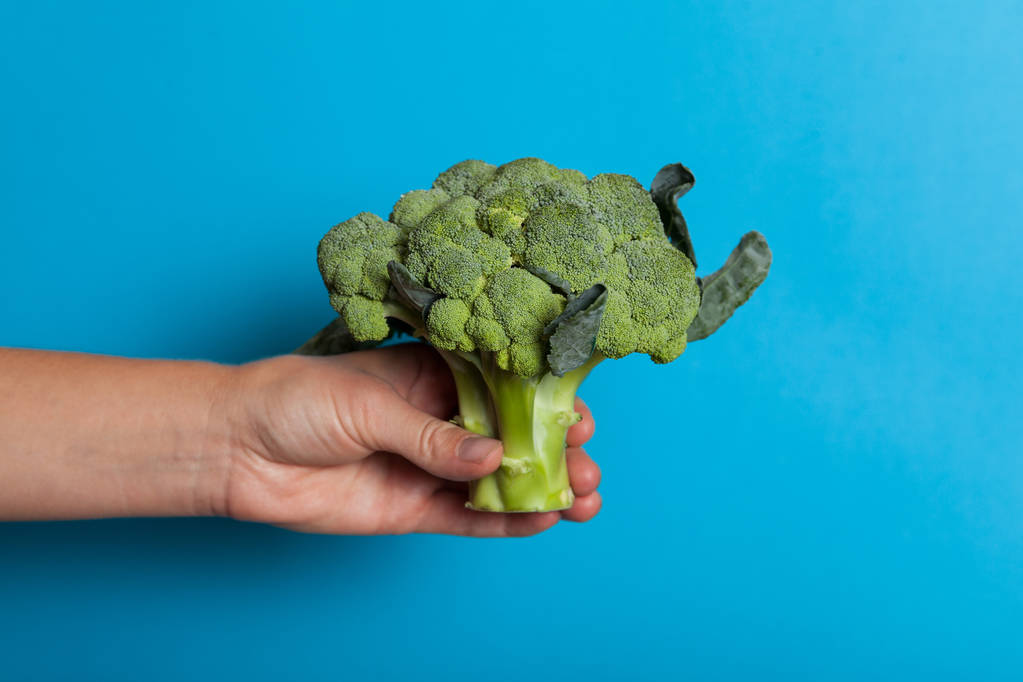 Elinde diyet tarımsal brokoli. - Fotoğraf, Görsel