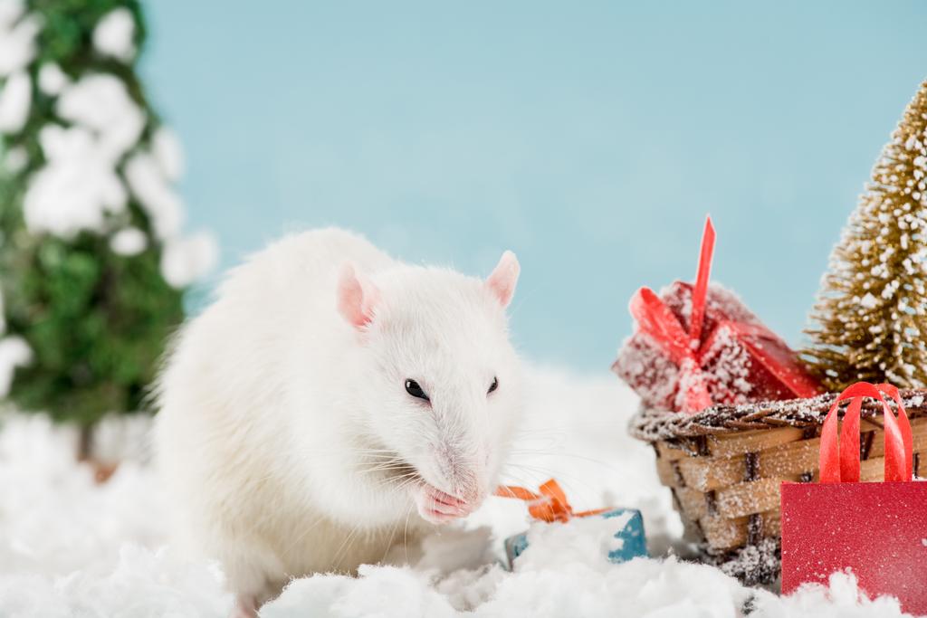 Ratte und Korbschlitten mit Weihnachtsbaum und Geschenkschachteln im neuen Jahr  - Foto, Bild