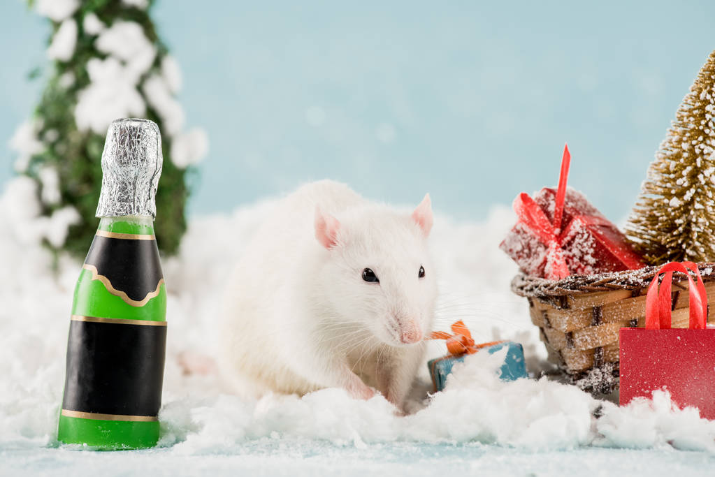 крыса, бутылка и плетеные сани с елкой и подарочные коробки в Новый год
  - Фото, изображение