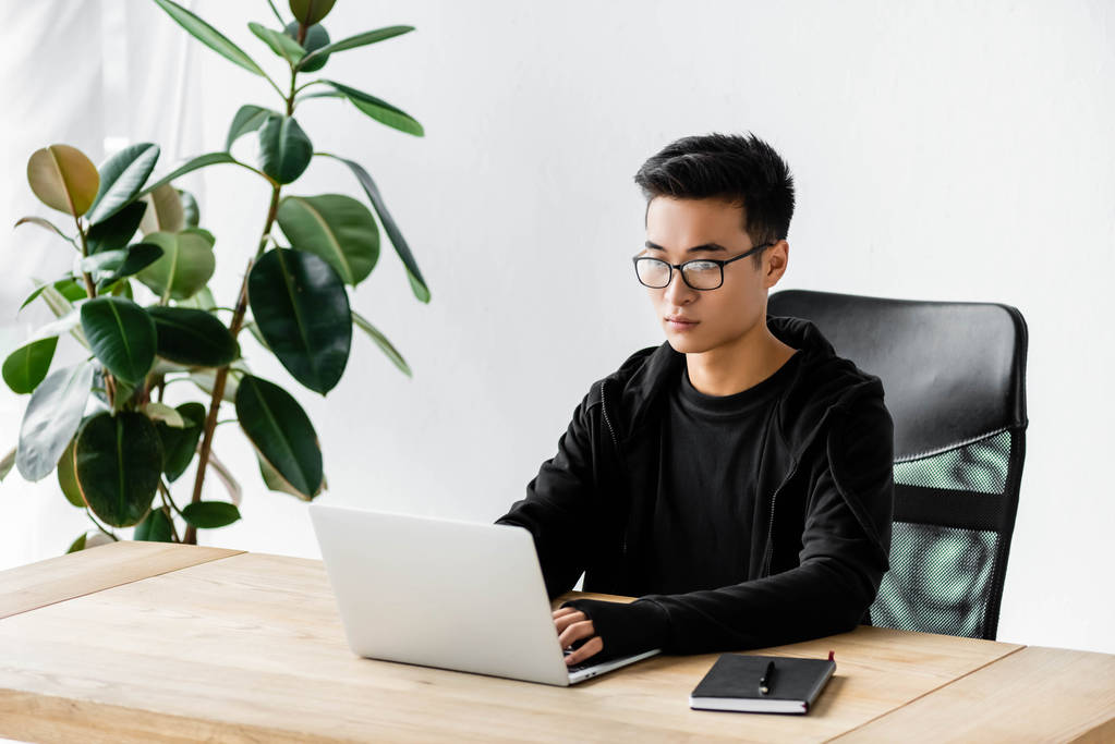 asiatischer Hacker mit Brille sitzt am Tisch und benutzt Laptop  - Foto, Bild