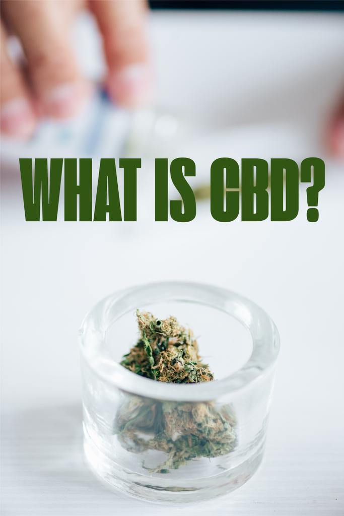Вибіркове фокусування медичних бутонів марихуани у скляній пляшці з тим, що є питання Cbd - Фото, зображення
