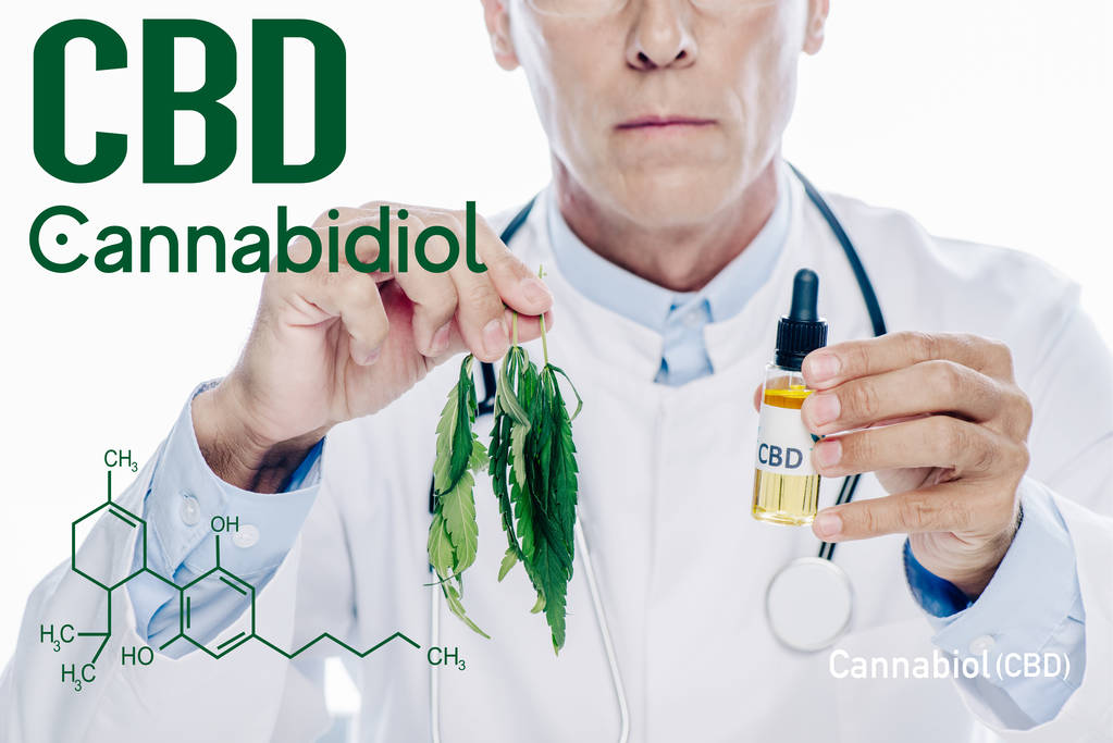 vista recortada del médico en bata blanca sosteniendo aceite de cbd y hoja de marihuana aislado en blanco con ilustración de molécula de cbd
 - Foto, imagen