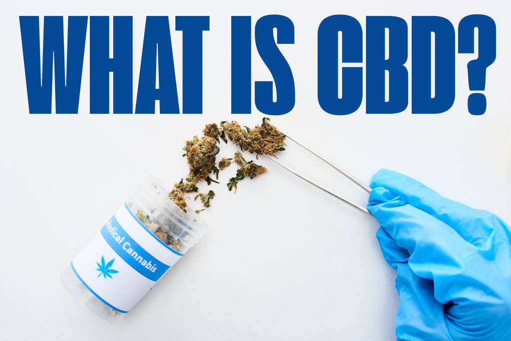vista recortada del médico en guante azul que sostiene cannabis medicinal con pinzas sobre fondo blanco con lo que es la pregunta cbd
 - Foto, imagen