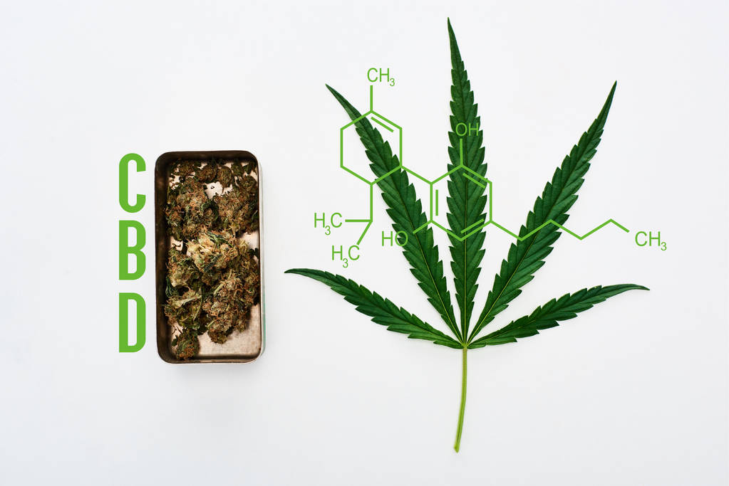 Ansicht von grünem Cannabisblatt und Marihuana-Knospen in Metallbox auf weißem Hintergrund mit cbd-Molekül-Illustration - Foto, Bild