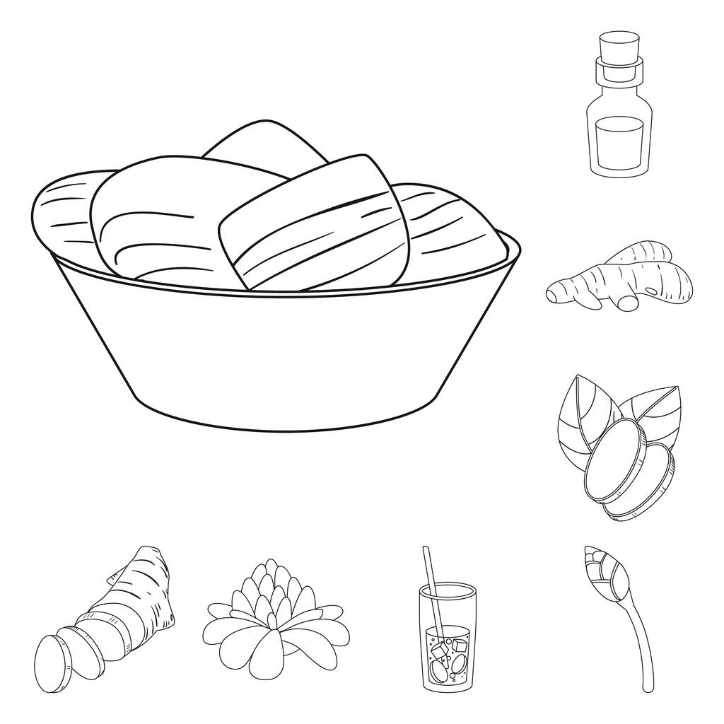 Ilustración vectorial de icono vegetal y natural. Conjunto de vegetal e ingrediente símbolo de stock para web
. - Vector, imagen