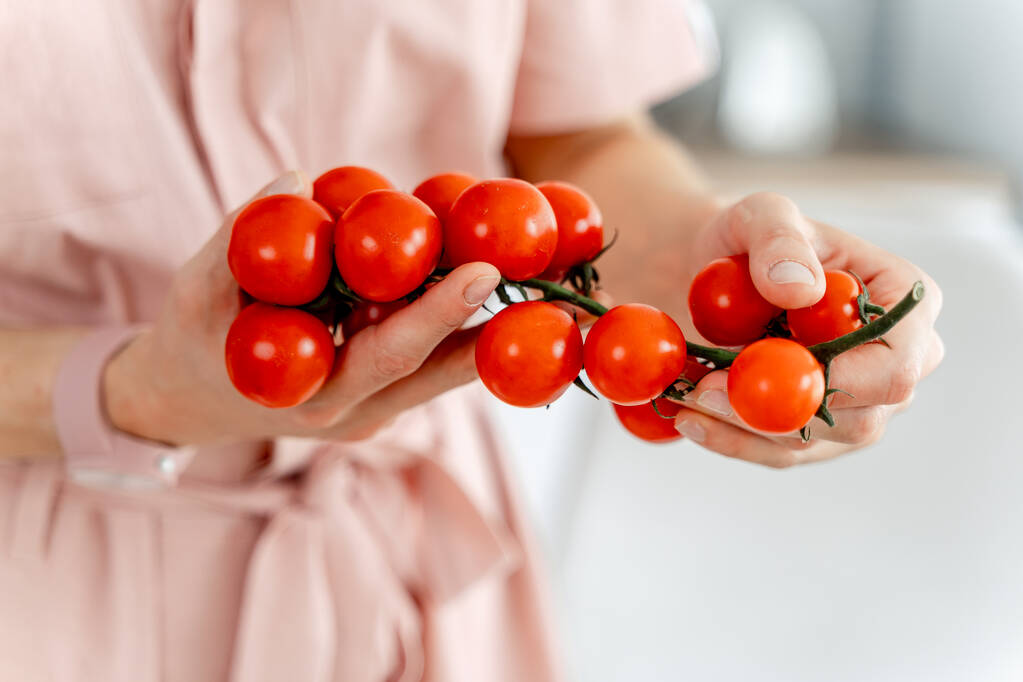 Mooie rode tomaten op een tak in handen. - Foto, afbeelding
