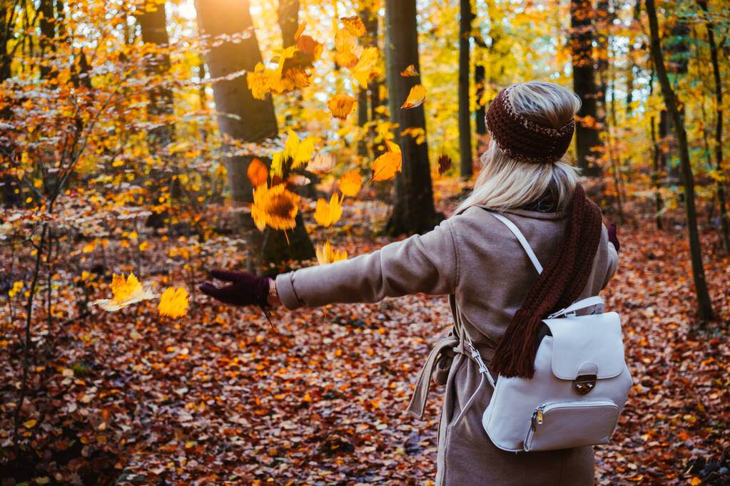 Vrouw gooien herfst bladeren in de lucht. Zorgeloos, geluk concept. De daling van de schilderachtige park - Foto, afbeelding