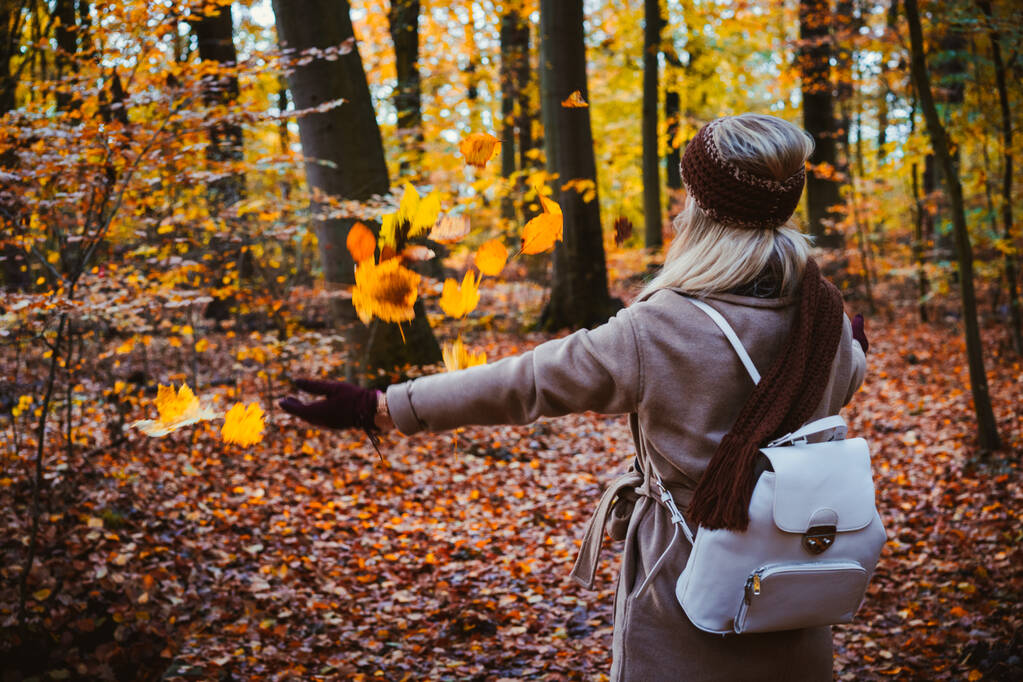 Vrouw gooien herfst bladeren in de lucht. Zorgeloos, geluk concept. De daling van de schilderachtige park - Foto, afbeelding