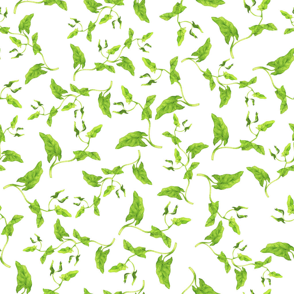 Patrón sin costuras con hojas verdes silvestres de verano sobre fondo blanco. Acuarela dibujada a mano ilustración
. - Foto, Imagen