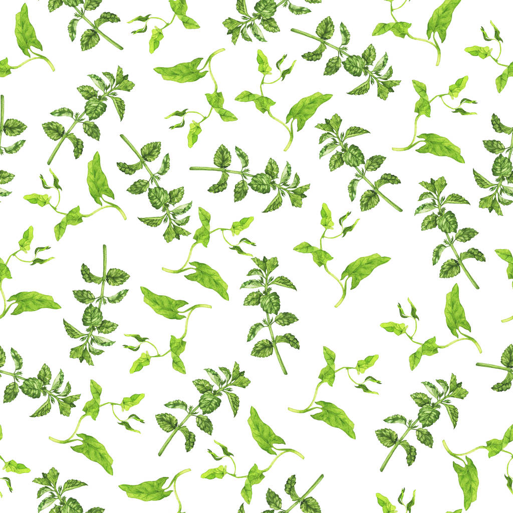 Yeşil el yapımı bitkiler beyazda izole edilmiş.  - Fotoğraf, Görsel