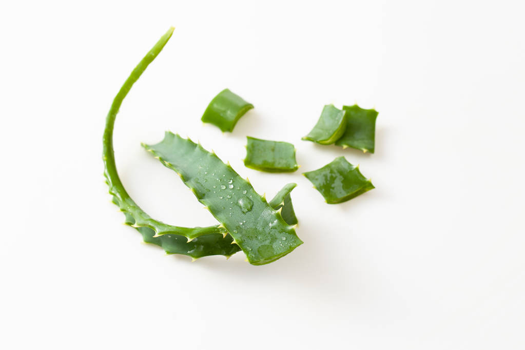 Aloe Vera hojas cortadas sobre fondo blanco
 - Foto, Imagen