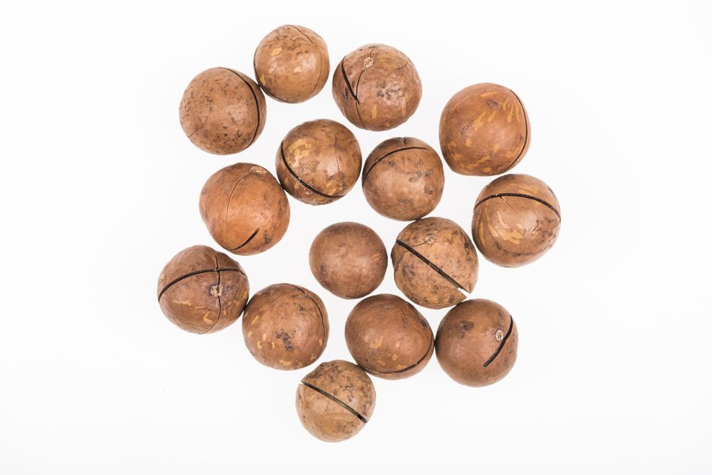 vista superior de nueces de macadamia dispersas aisladas en blanco
 - Foto, Imagen