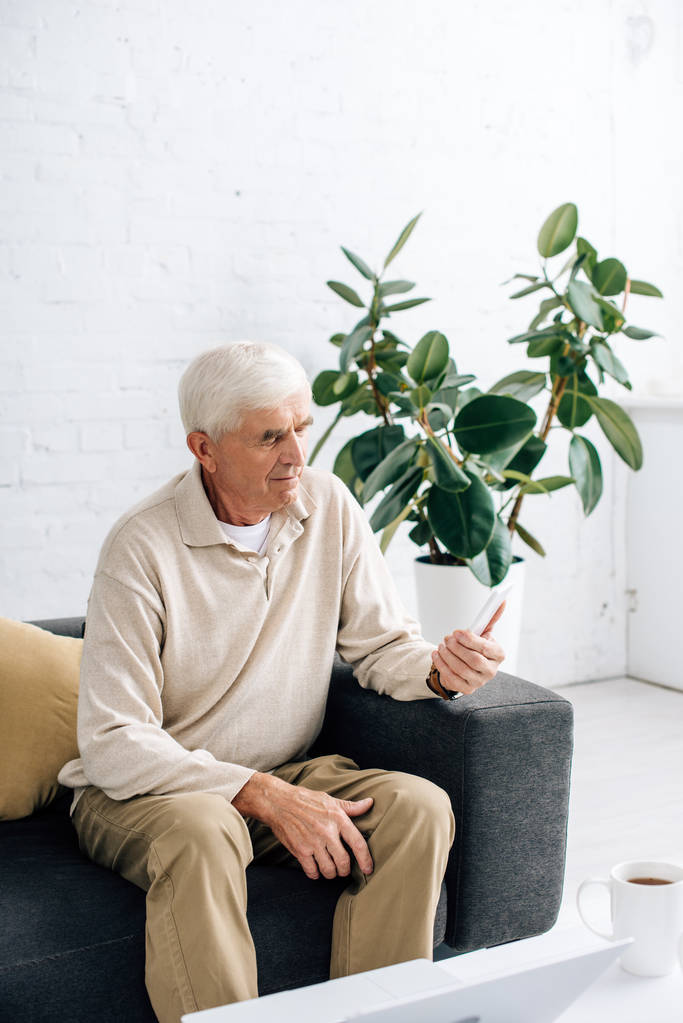 senior muž sedí na pohovce a používat smartphone v bytě  - Fotografie, Obrázek