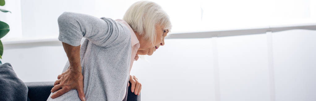 Yaşlı bir kadının dairede sırt ağrısı çekerken çekilmiş panoramik bir fotoğrafı.  - Fotoğraf, Görsel
