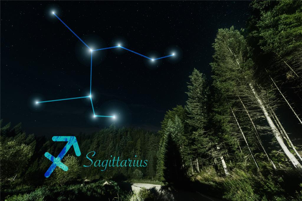 paisaje oscuro con árboles, cielo estrellado nocturno y constelación de Sagitario
 - Foto, Imagen